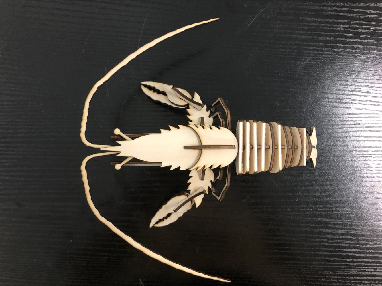 lobster 1.jpg
