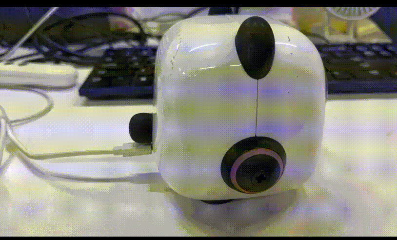 20250303-180547.gif